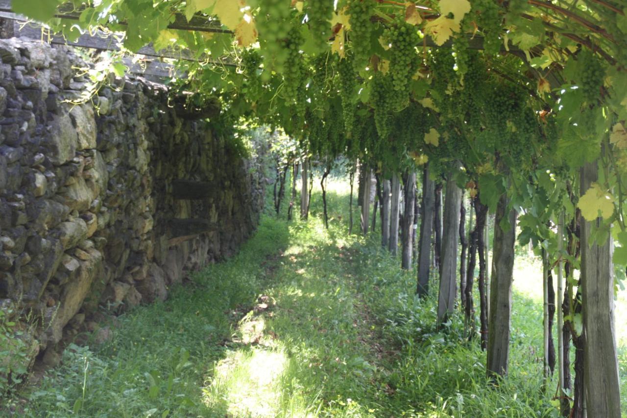 Bed and Breakfast Relais Del Brigante Settimo Vittone Zewnętrze zdjęcie